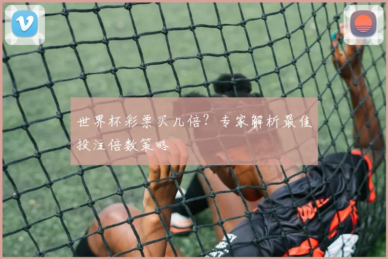 世界杯彩票买几倍？专家解析最佳投注倍数策略