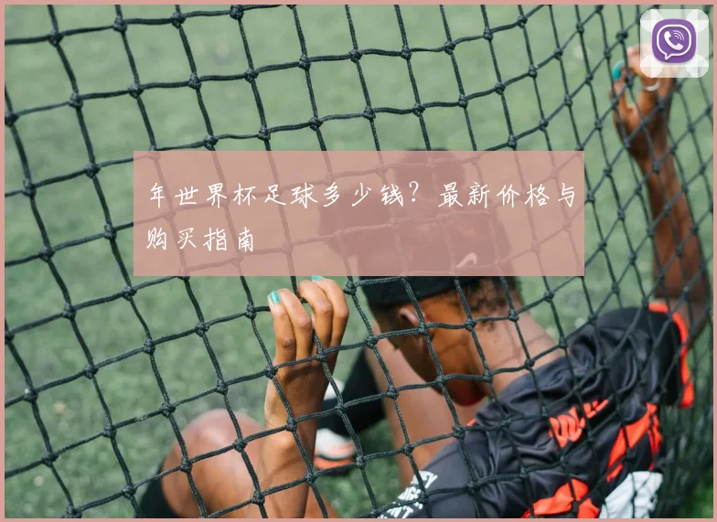 年世界杯足球多少钱？最新价格与购买指南