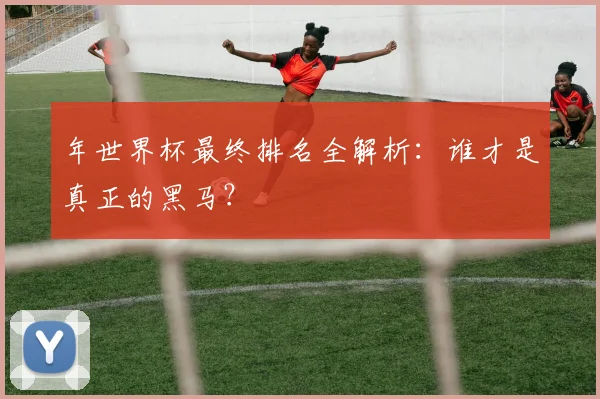 年世界杯最终排名全解析：谁才是真正的黑马？