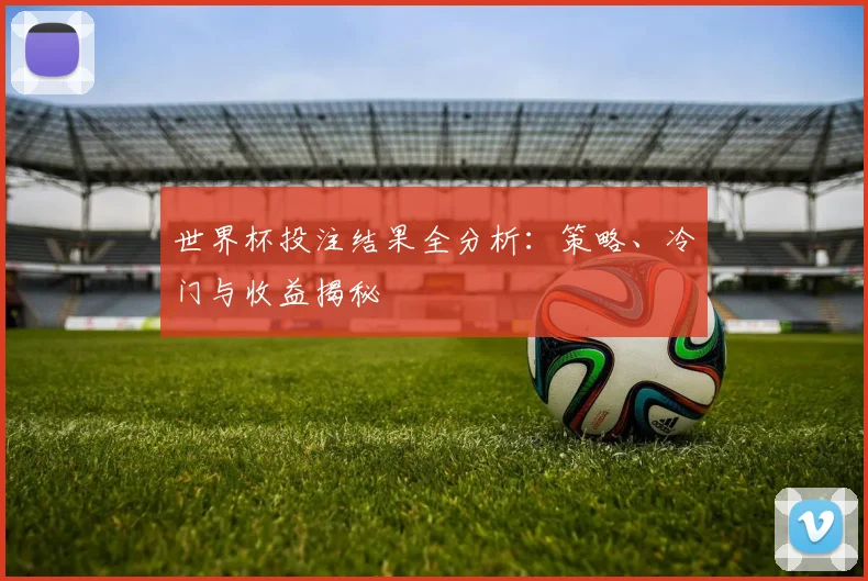 世界杯投注结果全分析：策略、冷门与收益揭秘