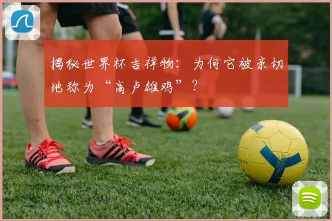 揭秘世界杯吉祥物:为何它被亲切地称为“高卢雄鸡”?