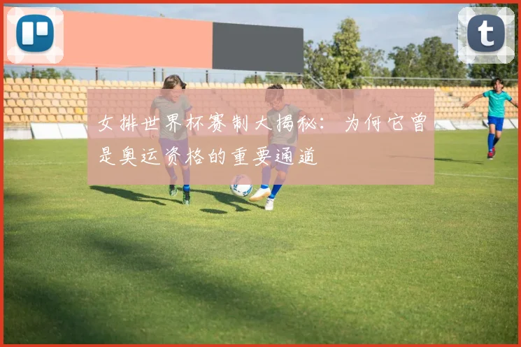 女排世界杯赛制大揭秘:为何它曾是奥运资格的重要通道