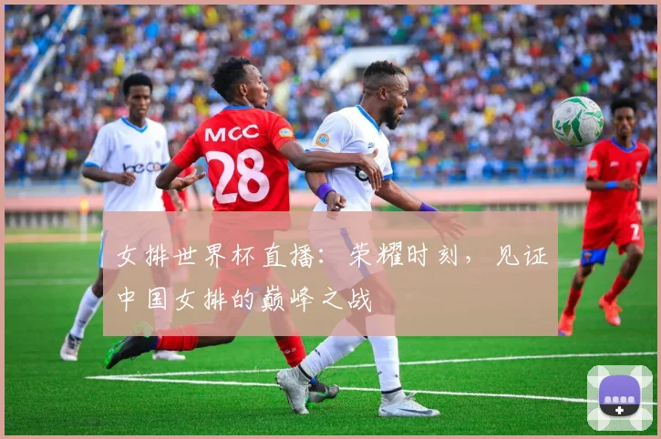 女排世界杯直播:荣耀时刻,见证中国女排的巅峰之战
