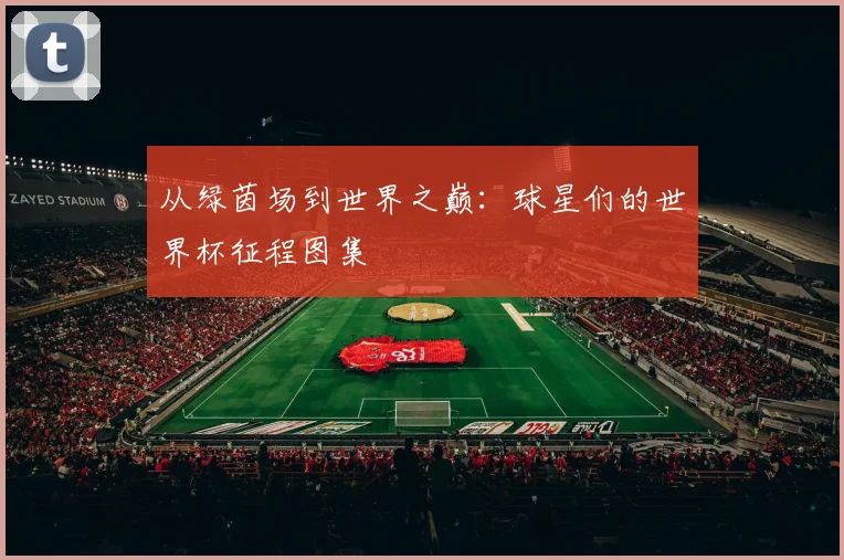 从绿茵场到世界之巅：球星们的世界杯征程图集