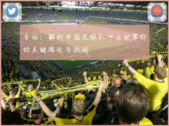 专访：解析中国足球队冲击世界杯的关键路径与挑战