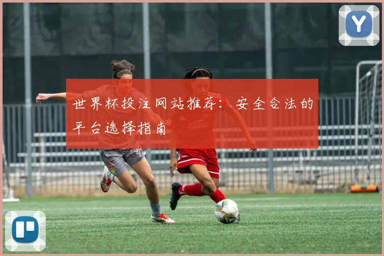 世界杯投注网站推荐：安全合法的平台选择指南