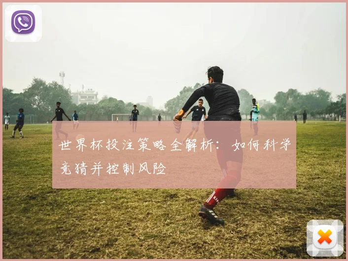世界杯投注策略全解析：如何科学竞猜并控制风险