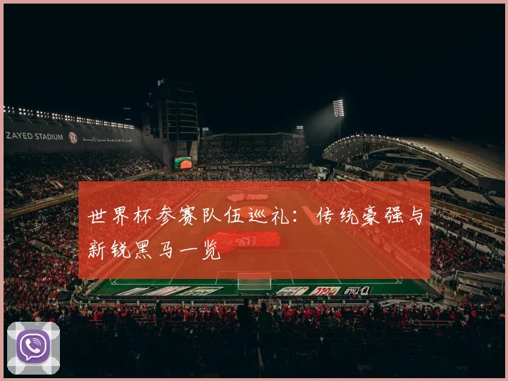 世界杯参赛队伍巡礼：传统豪强与新锐黑马一览