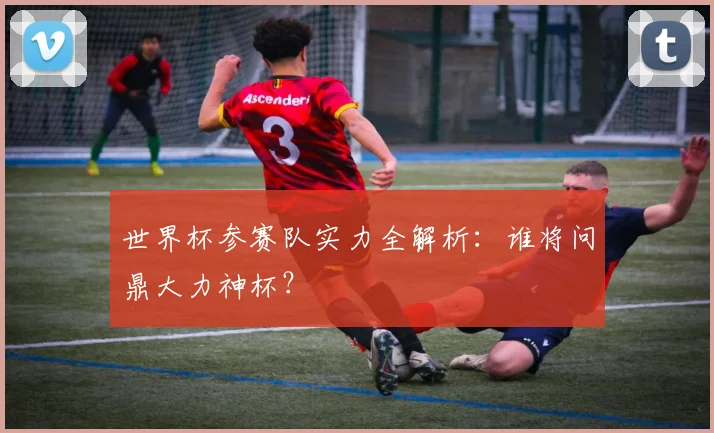 世界杯参赛队实力全解析：谁将问鼎大力神杯？