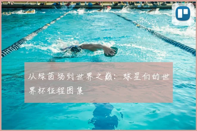 从绿茵场到世界之巅：球星们的世界杯征程图集