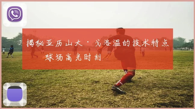 揭秘亚历山大·戈洛温的技术特点与球场高光时刻