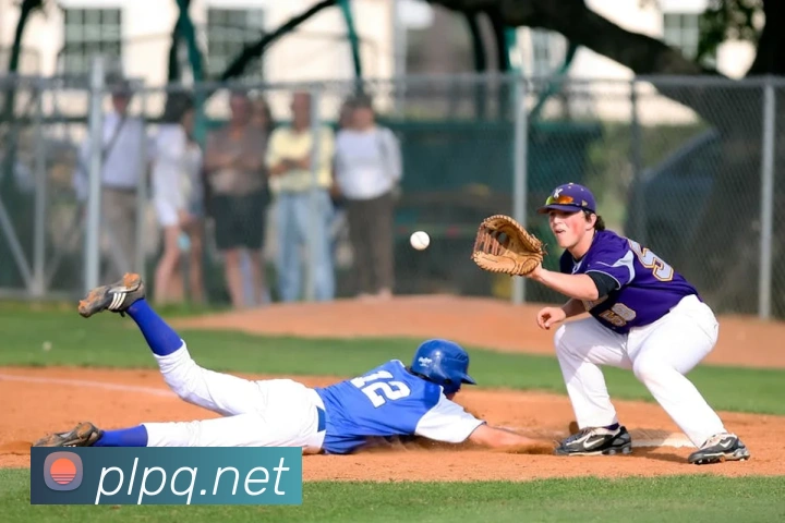 奖项证书